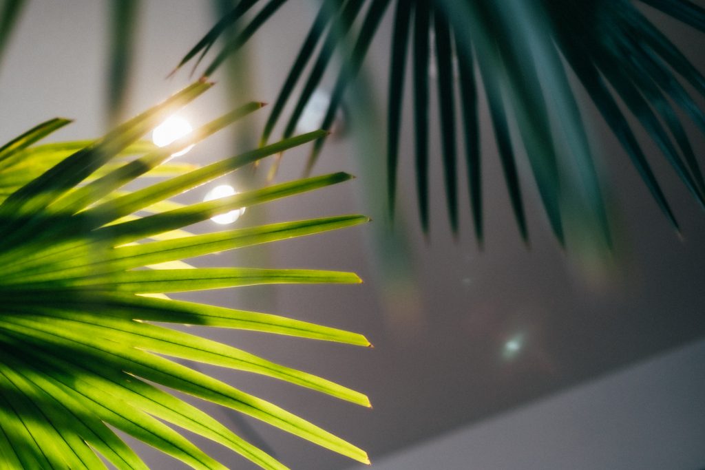 ​​Yukako Ishikawa