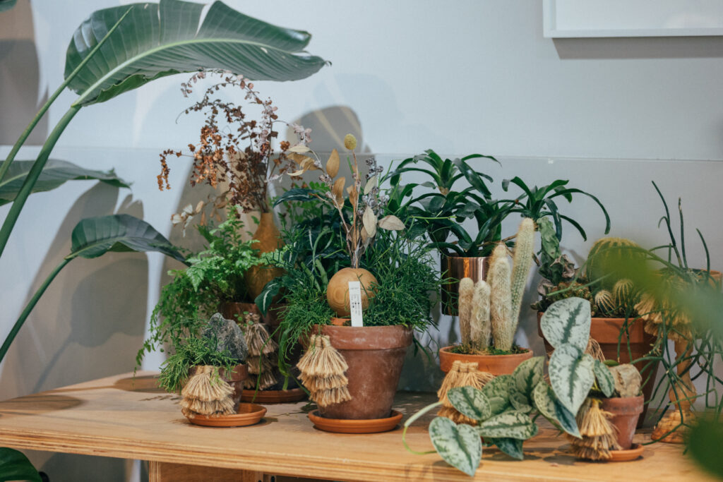 日本橋散策 VOL.02／フラワー＆プラントショップ編