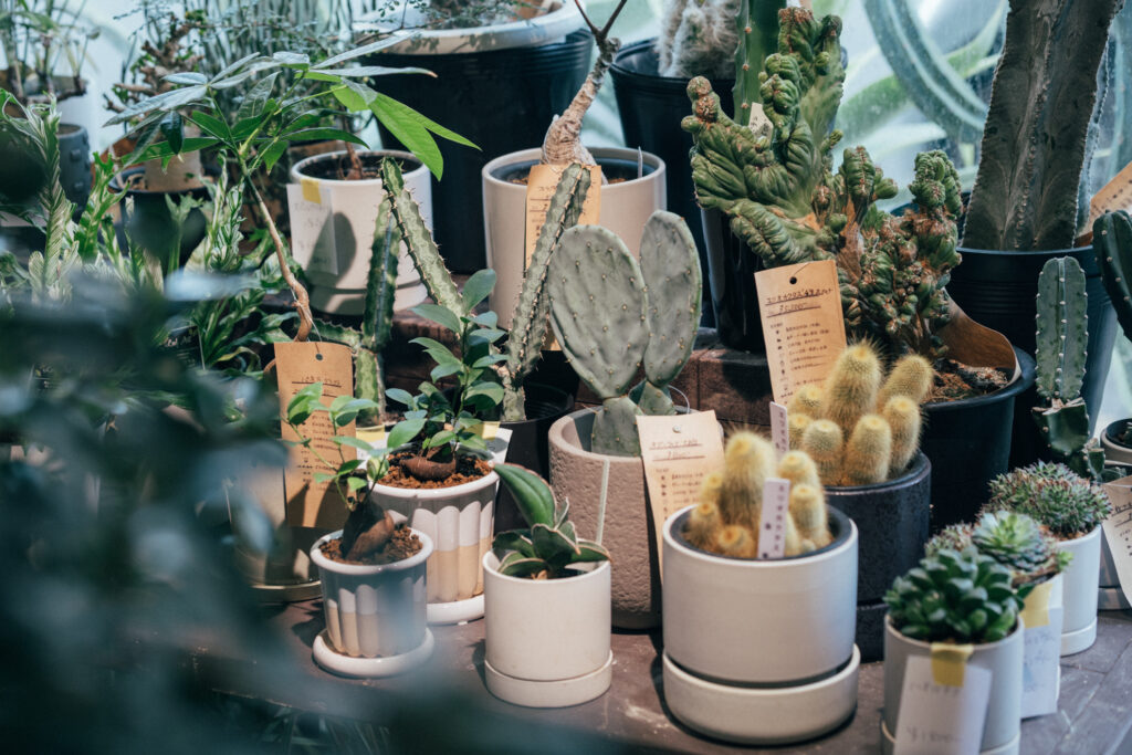 日本橋散策 VOL.02／フラワー＆プラントショップ編